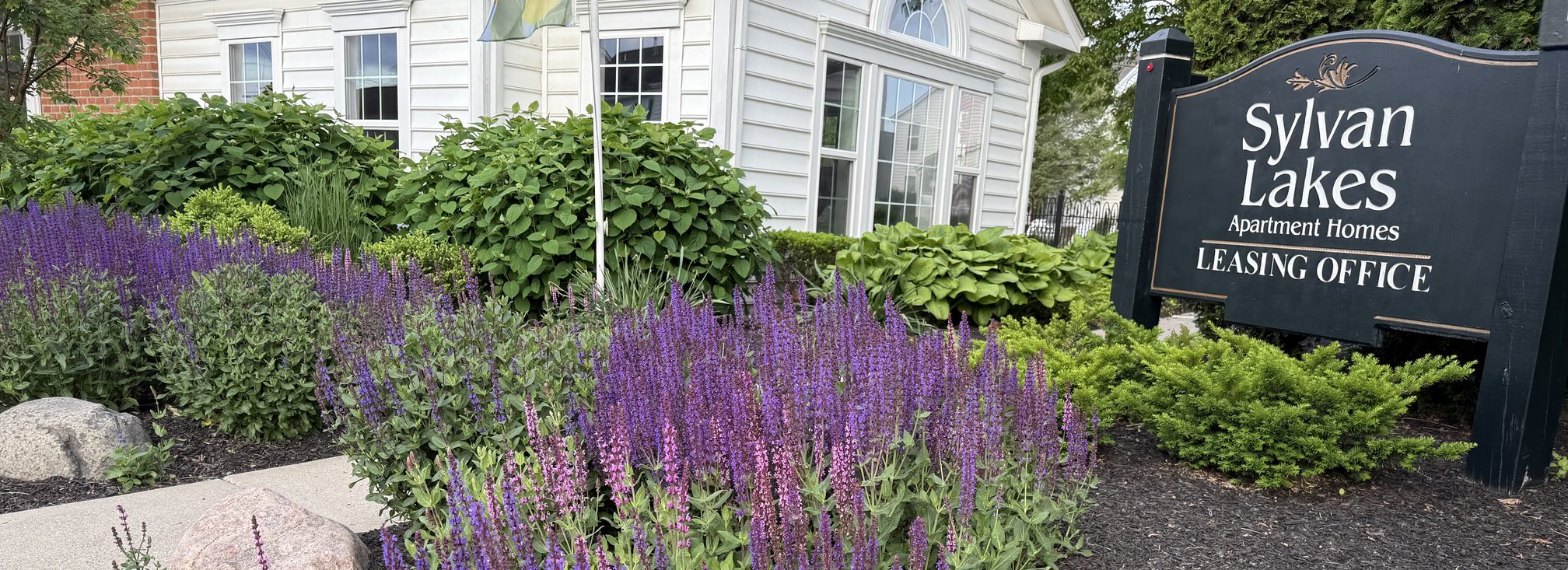 Purple salvia planting bed in front of an apartment community leasing office